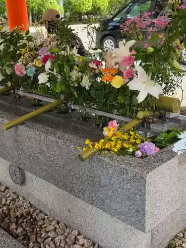 生田神社(兵庫県)