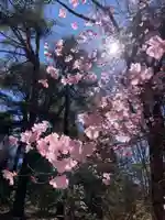 十二山神社(群馬県)