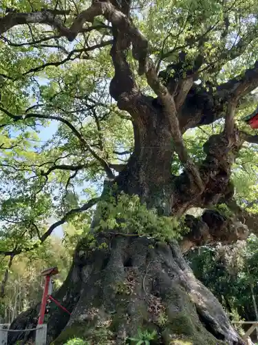 山宮神社(鹿児島県)