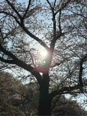 東蕗田天満社(茨城県)