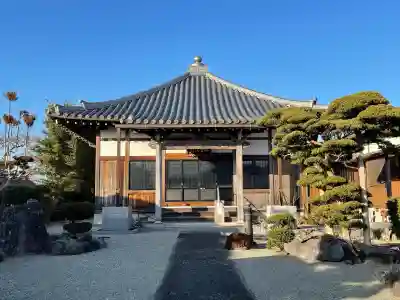 光蓮寺の{uncategorized: "未分類", other: "その他", undefined: "問題あり", building: "その他建物", grave: "お墓", sacred_gate: "鳥居", guardian: "狛犬", statue: "像", buddha: "仏像", history: "歴史", nature: "自然", garden: "庭園", animal: "動物", pagoda: "塔", temizu: "手水舎", mountain_gate: "山門・神門", sanctuary: "本殿・本堂", subordinate: "末社・摂社", art: "芸術", scenery: "景色", jizo: "地蔵", ema: "絵馬", goshuin: "御朱印", omikuji: "おみくじ", items: "授与品その他", amulet: "お守り", goshuincho: "御朱印帳", eats: "食事", festival: "お祭り", votive_dance: "神楽", shichigosan: "七五三参", wedding: "結婚式", experience: "体験その他", initially: "初詣", around: "周辺", anti_infection: "感染症対策"}