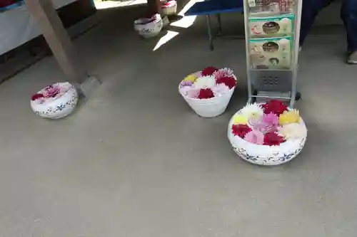 岡寺（龍蓋寺）(奈良県)