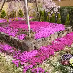 寿量山　速成寺の庭園