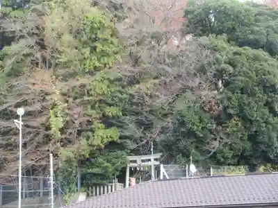 青木神社（笠間町）(神奈川県)