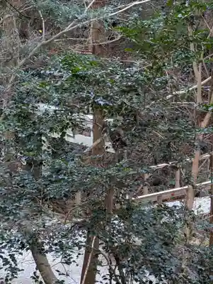 和多都美神社(長崎県)