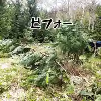 七重浜海津見神社(北海道)