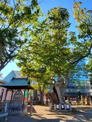 阿邪訶根神社の自然