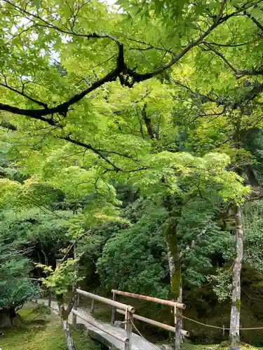 慈照寺（慈照禅寺・銀閣寺）(京都府)
