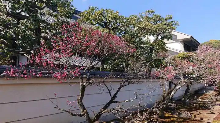 相国寺(相国承天禅寺)の自然