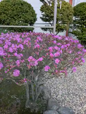 亀田龍神社の{uncategorized: "未分類", other: "その他", undefined: "問題あり", building: "その他建物", grave: "お墓", sacred_gate: "鳥居", guardian: "狛犬", statue: "像", buddha: "仏像", history: "歴史", nature: "自然", garden: "庭園", animal: "動物", pagoda: "塔", temizu: "手水舎", mountain_gate: "山門・神門", sanctuary: "本殿・本堂", subordinate: "末社・摂社", art: "芸術", scenery: "景色", jizo: "地蔵", ema: "絵馬", goshuin: "御朱印", omikuji: "おみくじ", items: "授与品その他", amulet: "お守り", goshuincho: "御朱印帳", eats: "食事", festival: "お祭り", votive_dance: "神楽", shichigosan: "七五三参", wedding: "結婚式", experience: "体験その他", initially: "初詣", around: "周辺", anti_infection: "感染症対策"}