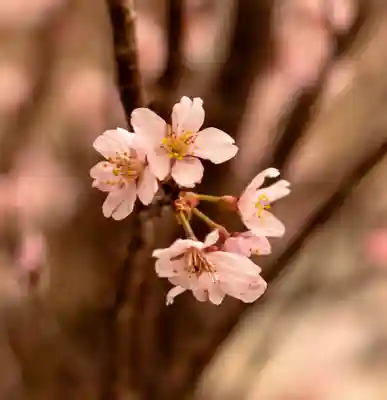 加藤神社(熊本県)