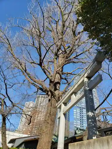 熊野神社の鳥居