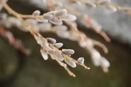 高司神社〜むすびの神の鎮まる社〜の手水舎