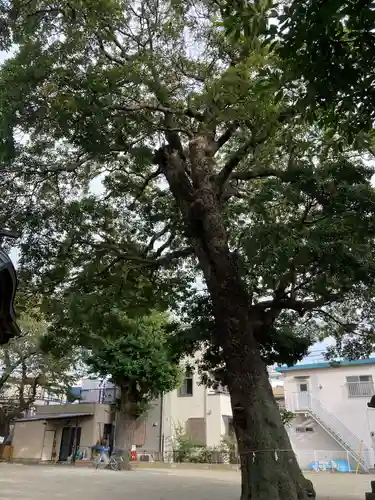 松尾大神(神奈川県)