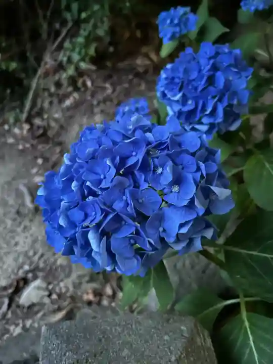 滑川神社 - 仕事と子どもの守り神(福島県)
