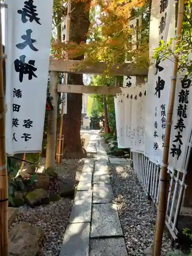 洲嵜神社の鳥居
