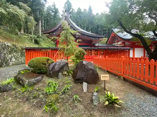 金櫻神社の庭園