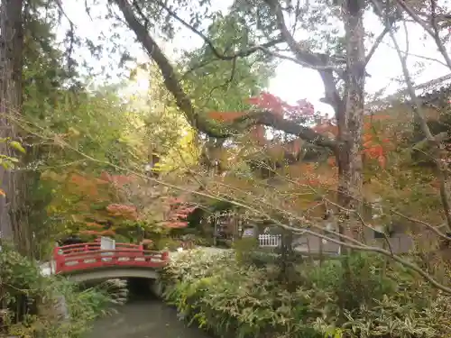 鶴岡八幡宮の自然