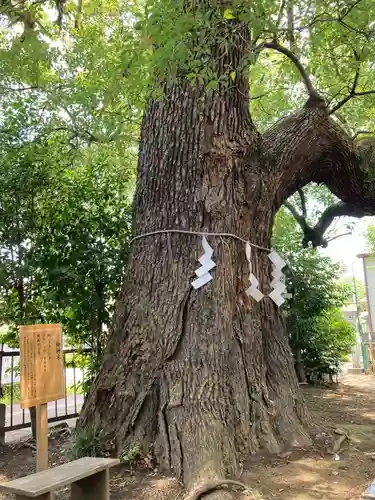 芳川神社(埼玉県)