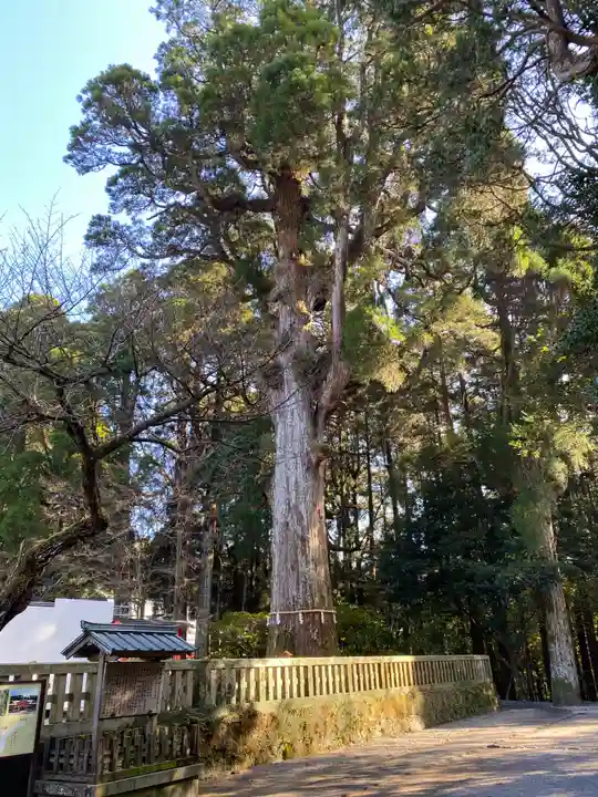 霧島神宮(鹿児島県)