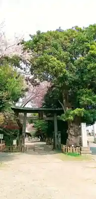畑子安神社の鳥居
