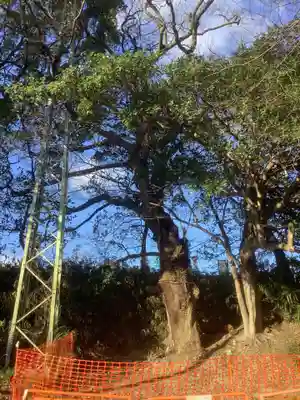 廃社・黒龍大神(愛知県)