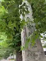 平塚神社の{uncategorized: "未分類", other: "その他", undefined: "問題あり", building: "その他建物", grave: "お墓", sacred_gate: "鳥居", guardian: "狛犬", statue: "像", buddha: "仏像", history: "歴史", nature: "自然", garden: "庭園", animal: "動物", pagoda: "塔", temizu: "手水舎", mountain_gate: "山門・神門", sanctuary: "本殿・本堂", subordinate: "末社・摂社", art: "芸術", scenery: "景色", jizo: "地蔵", ema: "絵馬", goshuin: "御朱印", omikuji: "おみくじ", items: "授与品その他", amulet: "お守り", goshuincho: "御朱印帳", eats: "食事", festival: "お祭り", votive_dance: "神楽", shichigosan: "七五三参", wedding: "結婚式", experience: "体験その他", initially: "初詣", around: "周辺", anti_infection: "感染症対策"}