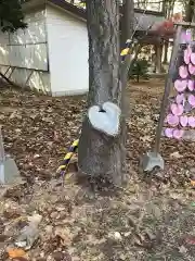 大谷地神社(北海道)