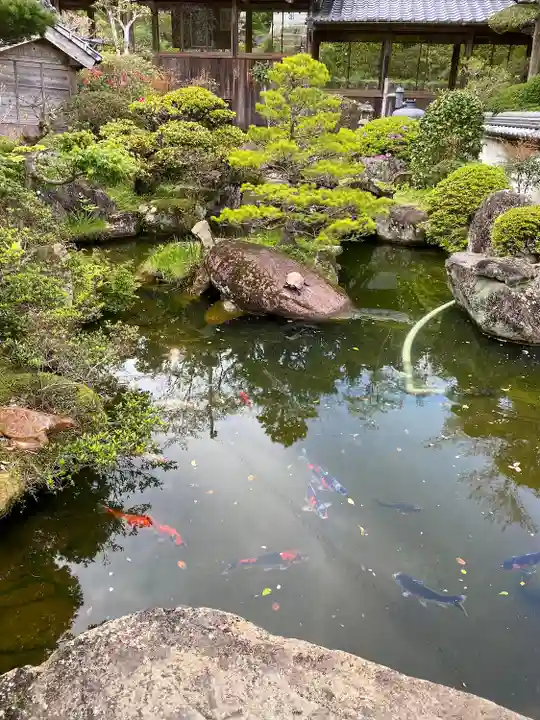 延光寺(高知県)