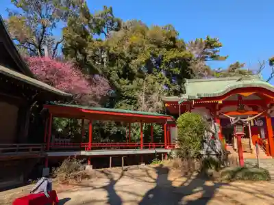 自由が丘熊野神社(東京都)