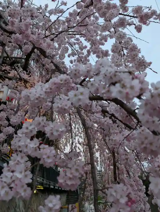 有馬天神社の{uncategorized: "未分類", other: "その他", undefined: "問題あり", building: "その他建物", grave: "お墓", sacred_gate: "鳥居", guardian: "狛犬", statue: "像", buddha: "仏像", history: "歴史", nature: "自然", garden: "庭園", animal: "動物", pagoda: "塔", temizu: "手水舎", mountain_gate: "山門・神門", sanctuary: "本殿・本堂", subordinate: "末社・摂社", art: "芸術", scenery: "景色", jizo: "地蔵", ema: "絵馬", goshuin: "御朱印", omikuji: "おみくじ", items: "授与品その他", amulet: "お守り", goshuincho: "御朱印帳", eats: "食事", festival: "お祭り", votive_dance: "神楽", shichigosan: "七五三参", wedding: "結婚式", experience: "体験その他", initially: "初詣", around: "周辺", anti_infection: "感染症対策"}