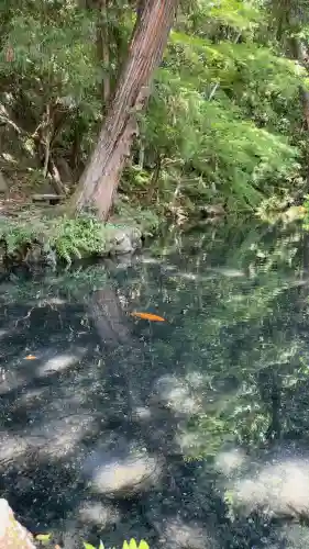 涌釜神社(栃木県)