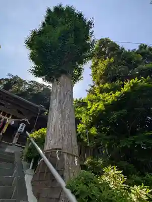 走水神社(神奈川県)
