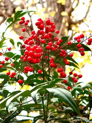 阿邪訶根神社(福島県)