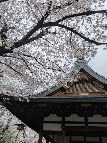 天孫神社(滋賀県)