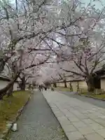醍醐寺(京都府)