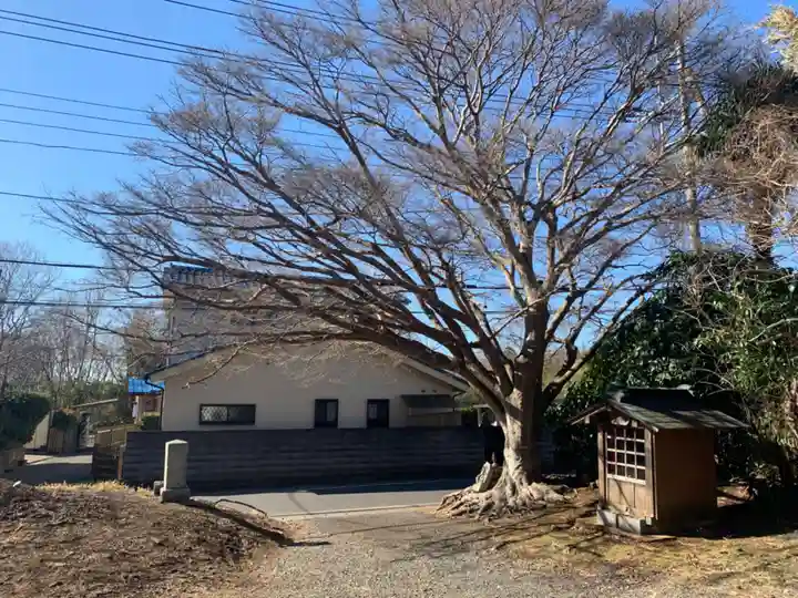 蓮蔵院(千葉県)