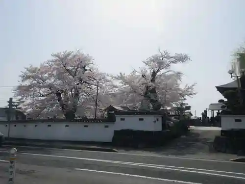 宗青寺(岩手県)