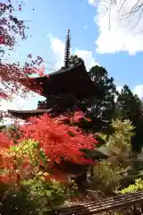 国宝 大法寺の塔