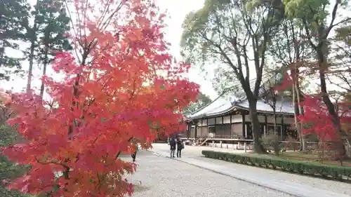 仁和寺の自然