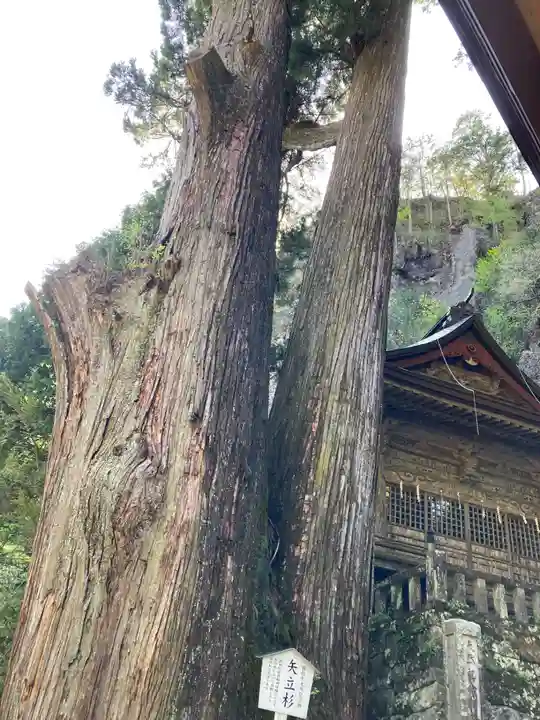 榛名神社(群馬県)