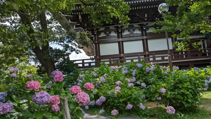 智積院(京都府)