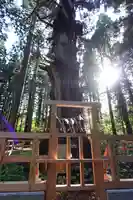 巖鬼山神社(青森県)