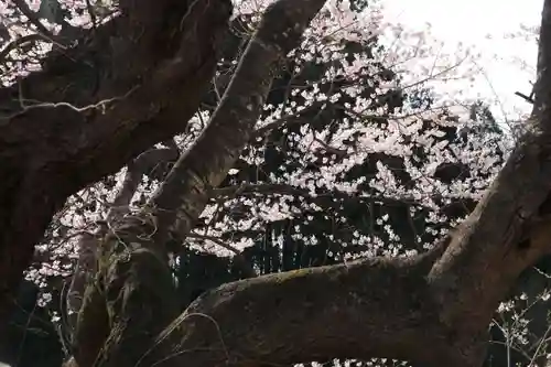 宇賀神さまの自然