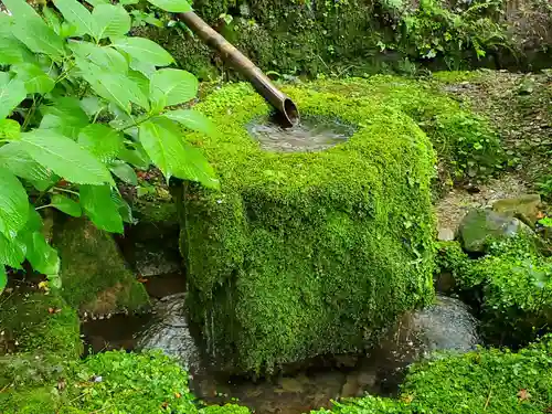 観明院の手水舎