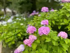 長念寺(埼玉県)