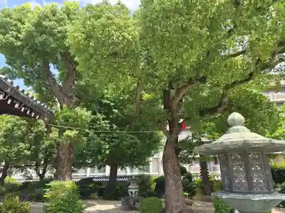 聖霊院(大阪府)