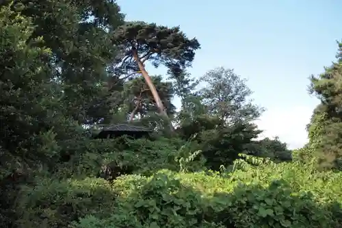 山梨岡神社の景色