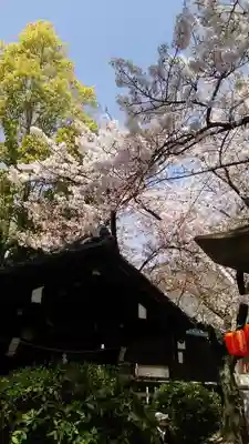 東高津宮のその他建物