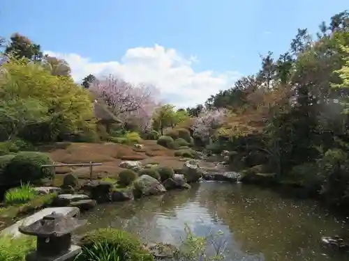 退蔵院(京都府)